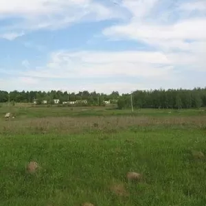 Земельный участок 19 соток в пос. Шатск